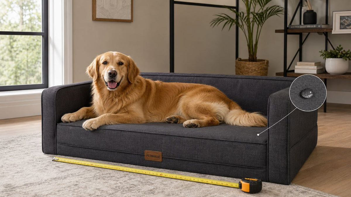 Dog Couches for Large Dogs: A Practical Buyer's Guide