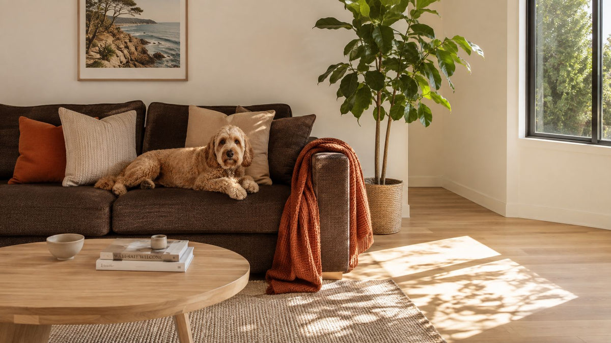 Dark Brown Couch: A Complete Guide