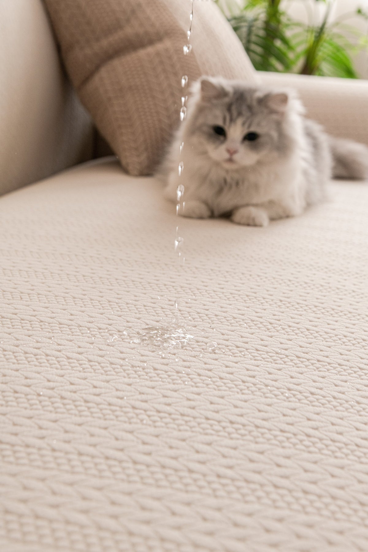 Couch Cover - Braelyn - Cream White
