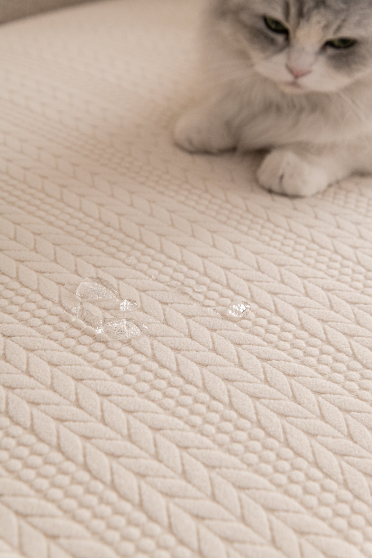 Couch Cover - Braelyn - Cream White