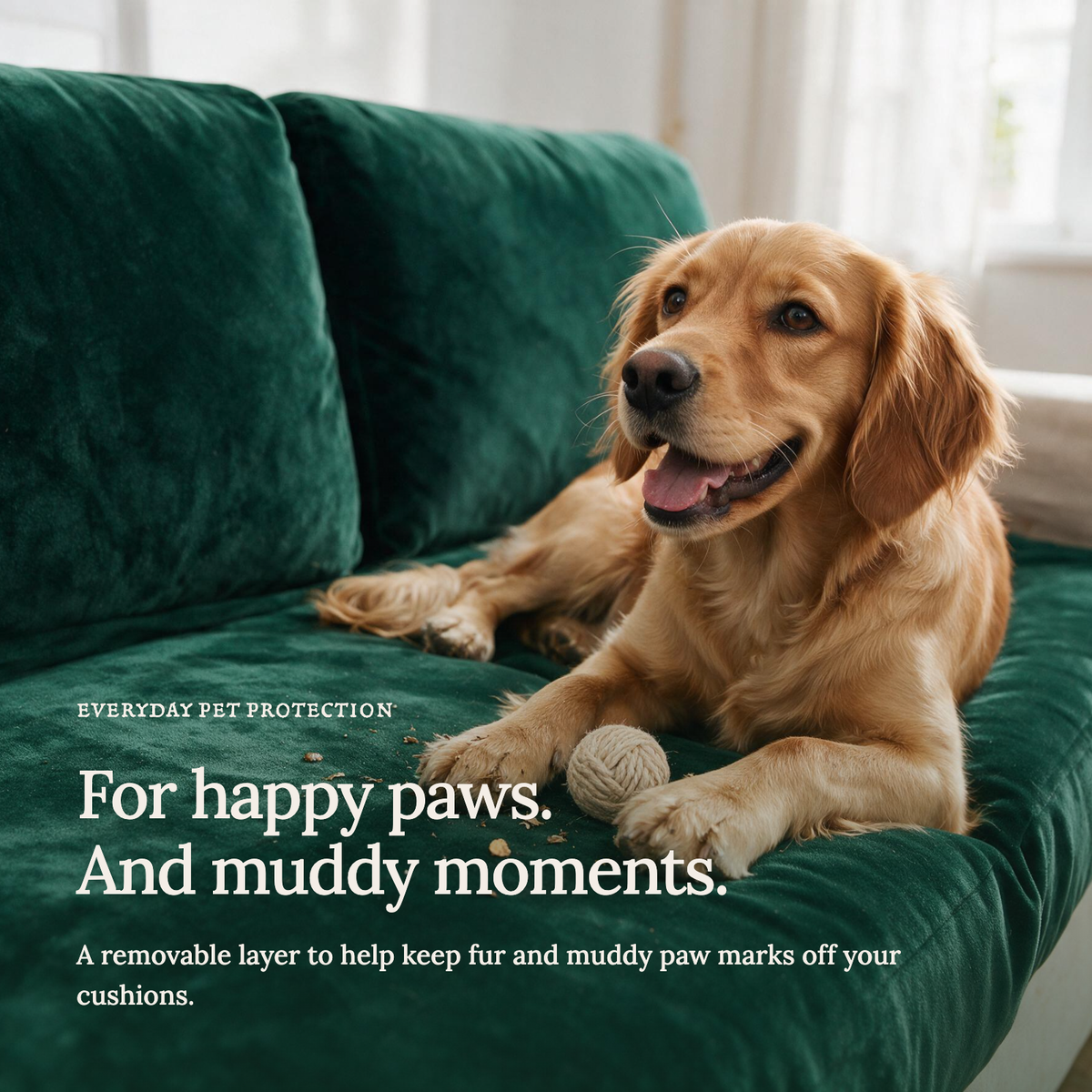 Dark green velvet cushion covers — For happy paws.