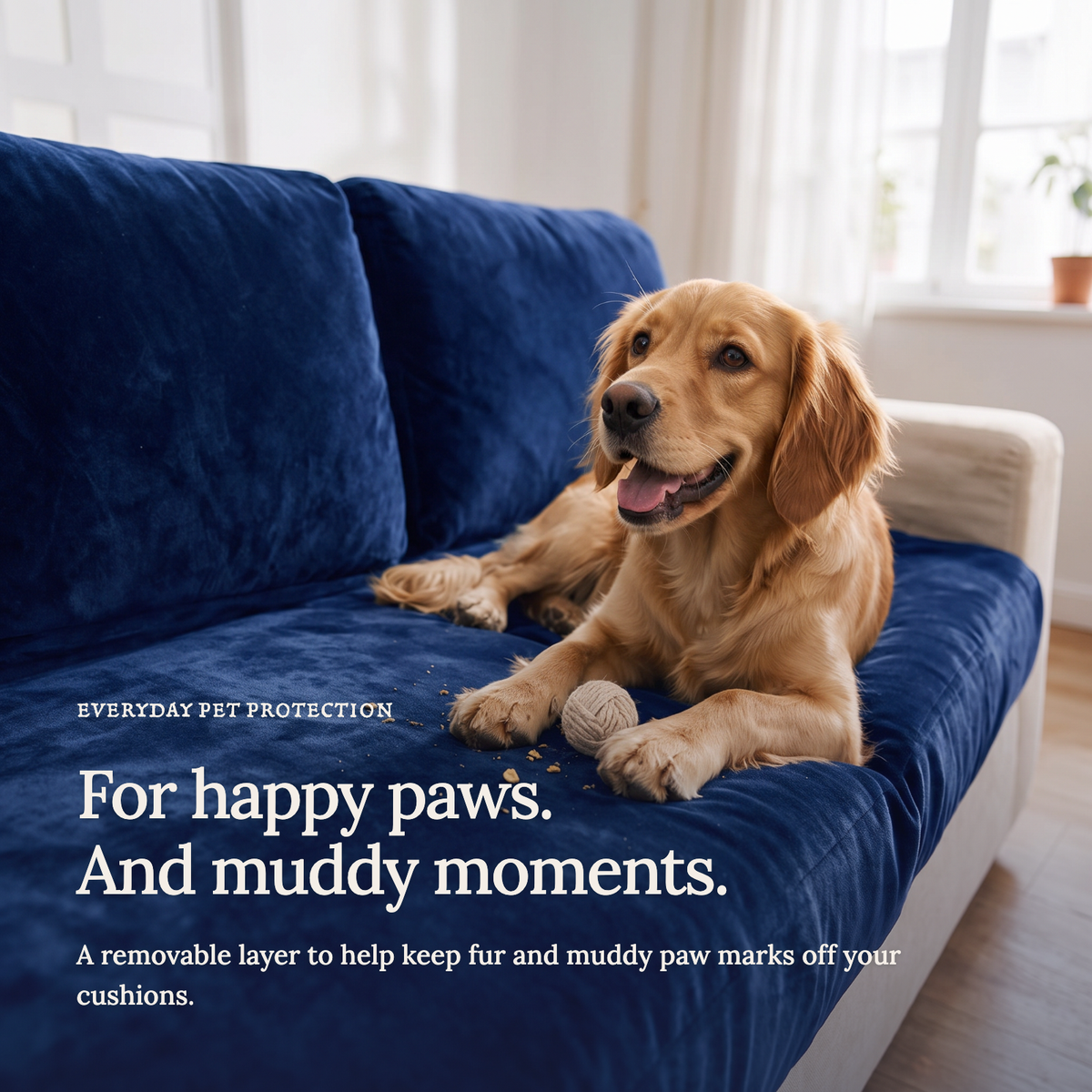 Velvet Navy Blue fitted sofa cushion covers — For happy paws.