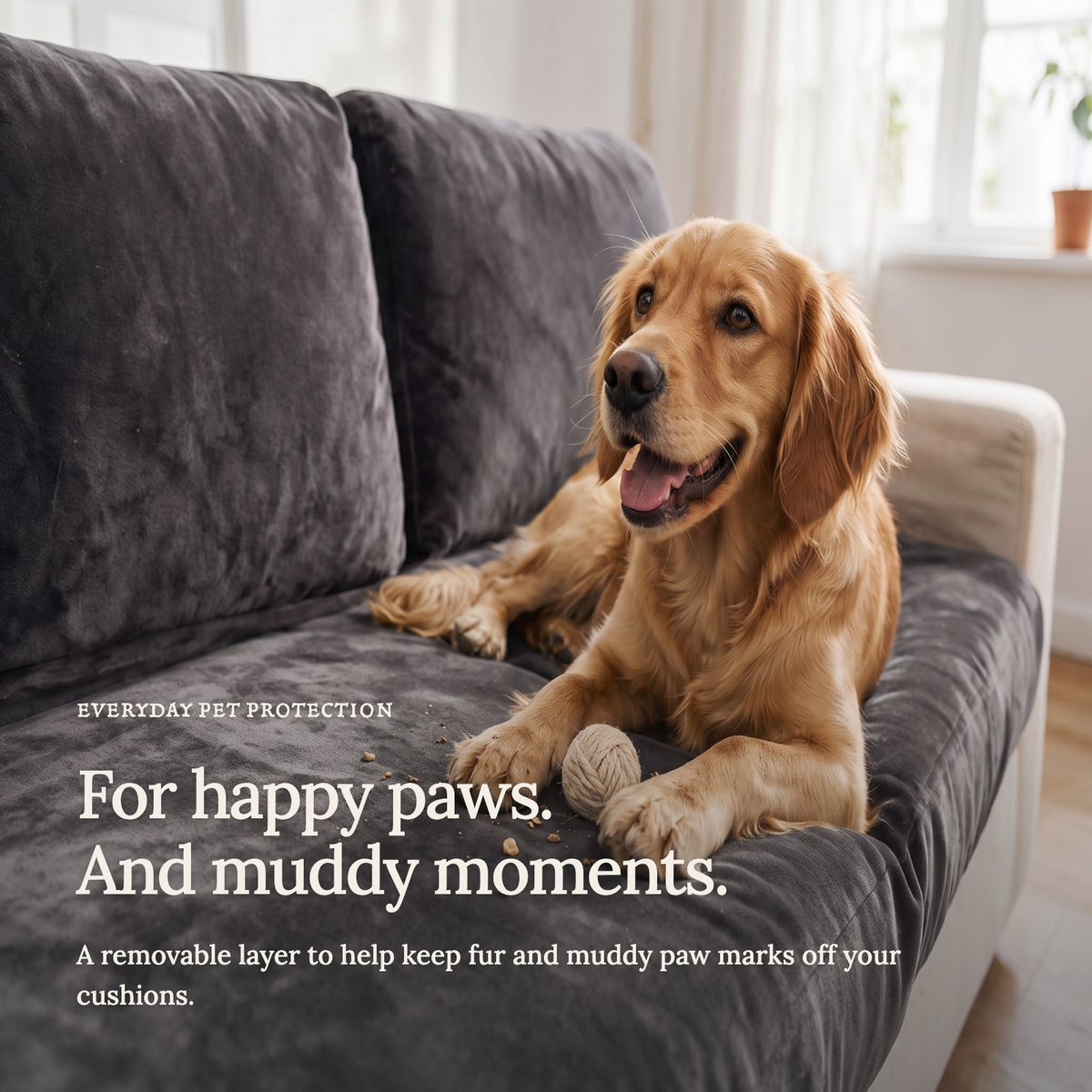 Velvet Grey fitted sofa cushion covers — For happy paws.
