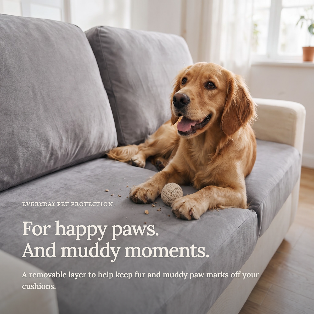 Velvet Light Grey fitted sofa cushion covers — For happy paws.