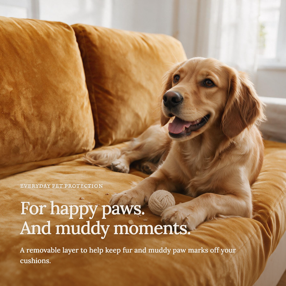 Velvet Orange fitted sofa cushion covers — For happy paws.