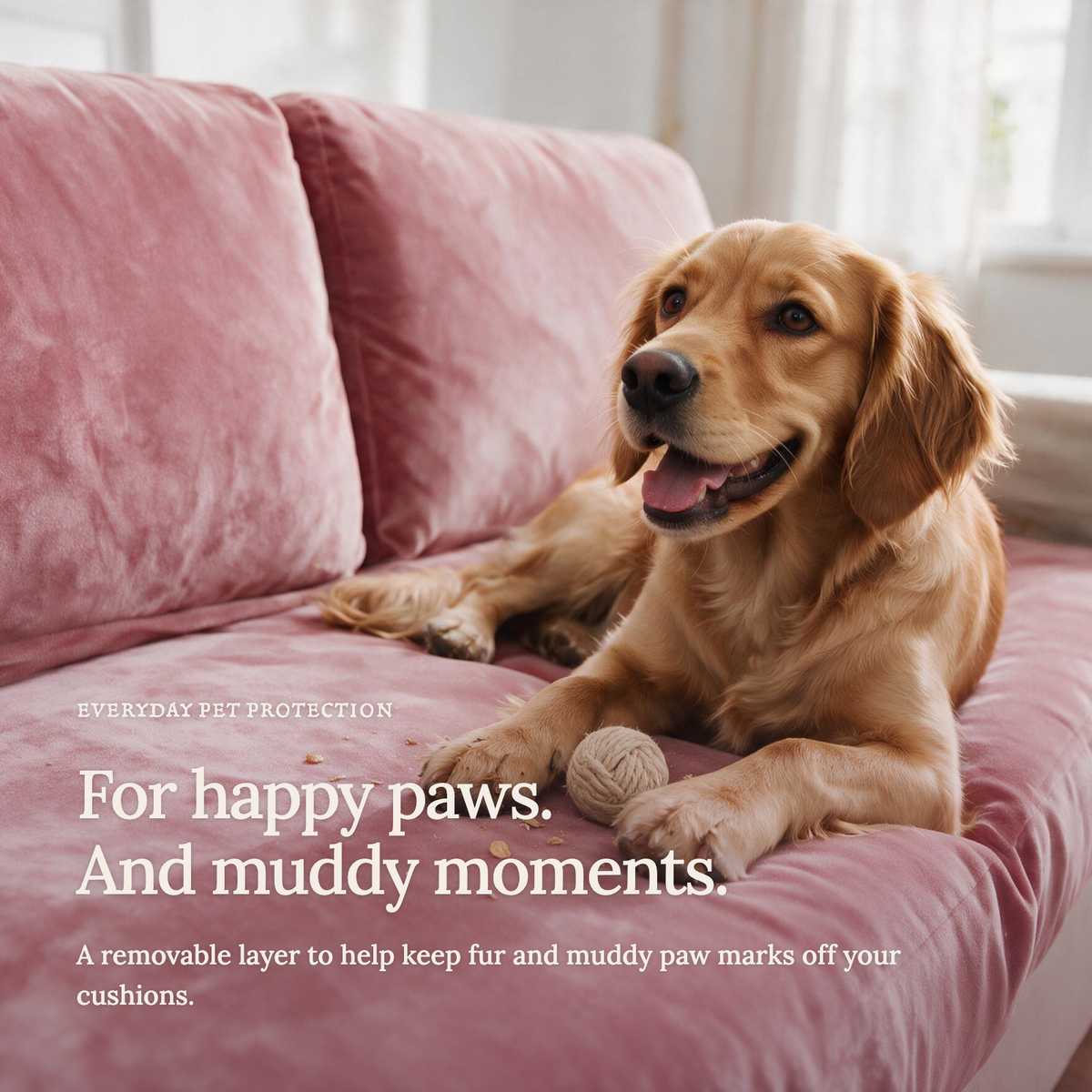 Velvet Pink fitted sofa cushion covers — For happy paws.
