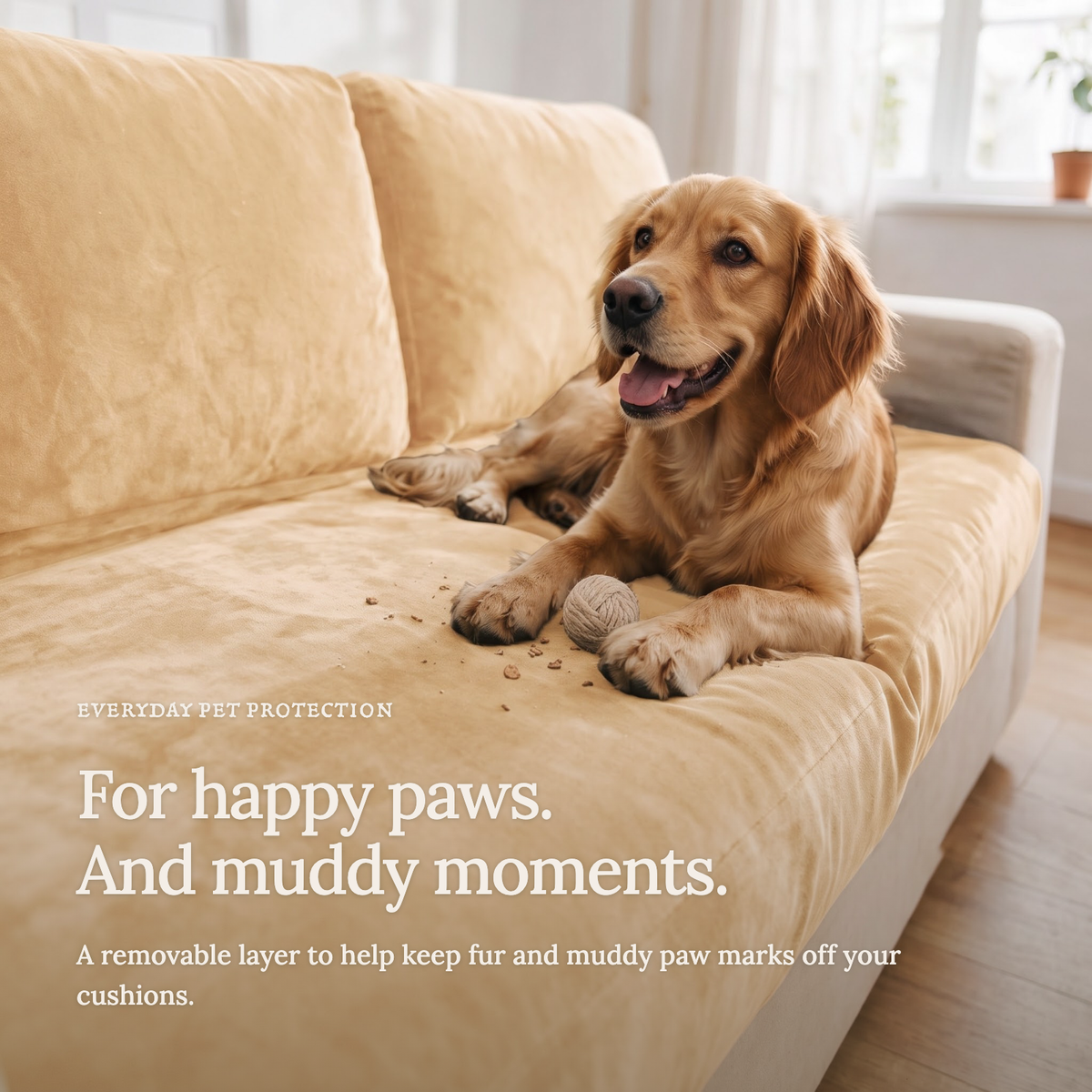 Velvet Beige fitted sofa cushion covers — For happy paws.