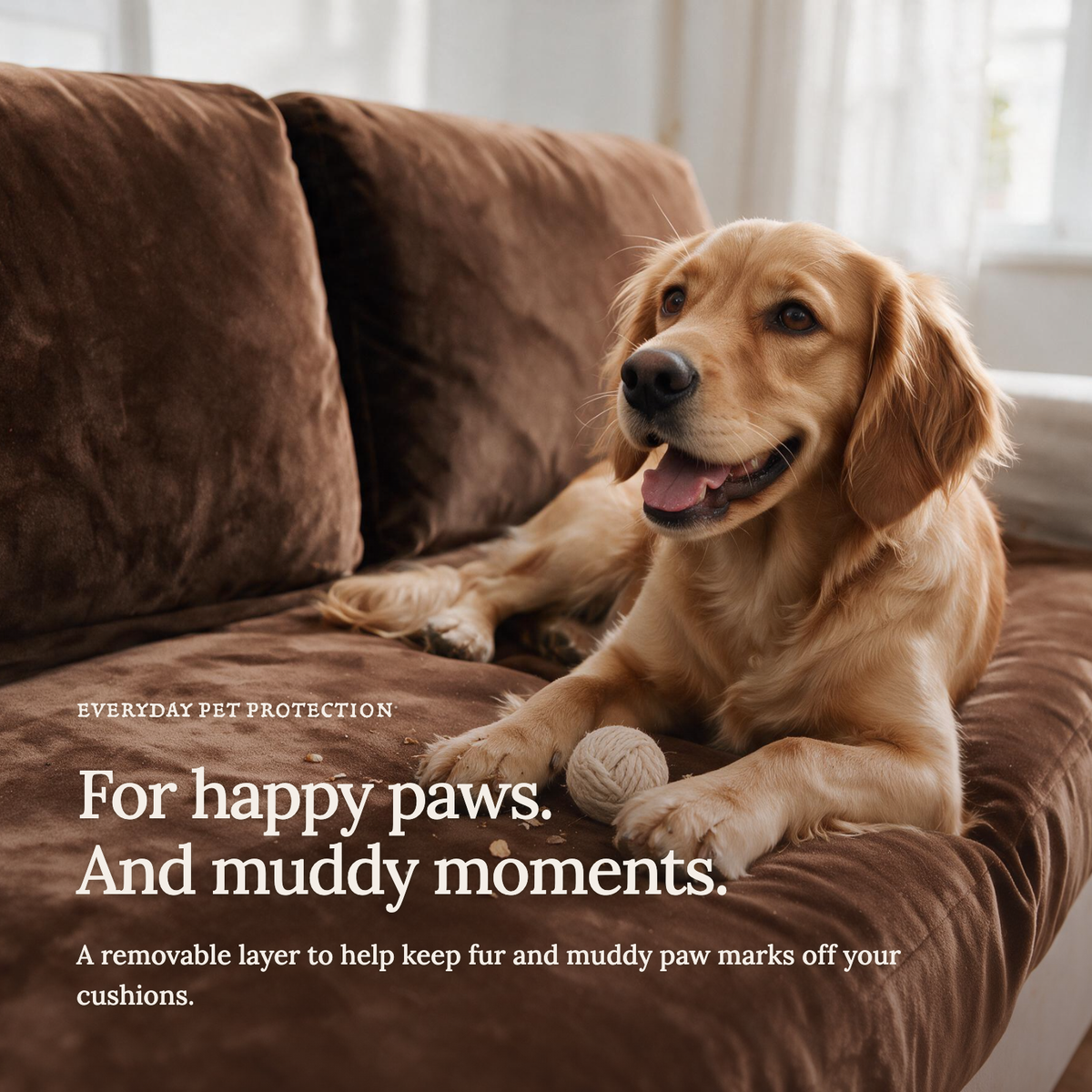Velvet Brown fitted sofa cushion covers — For happy paws.