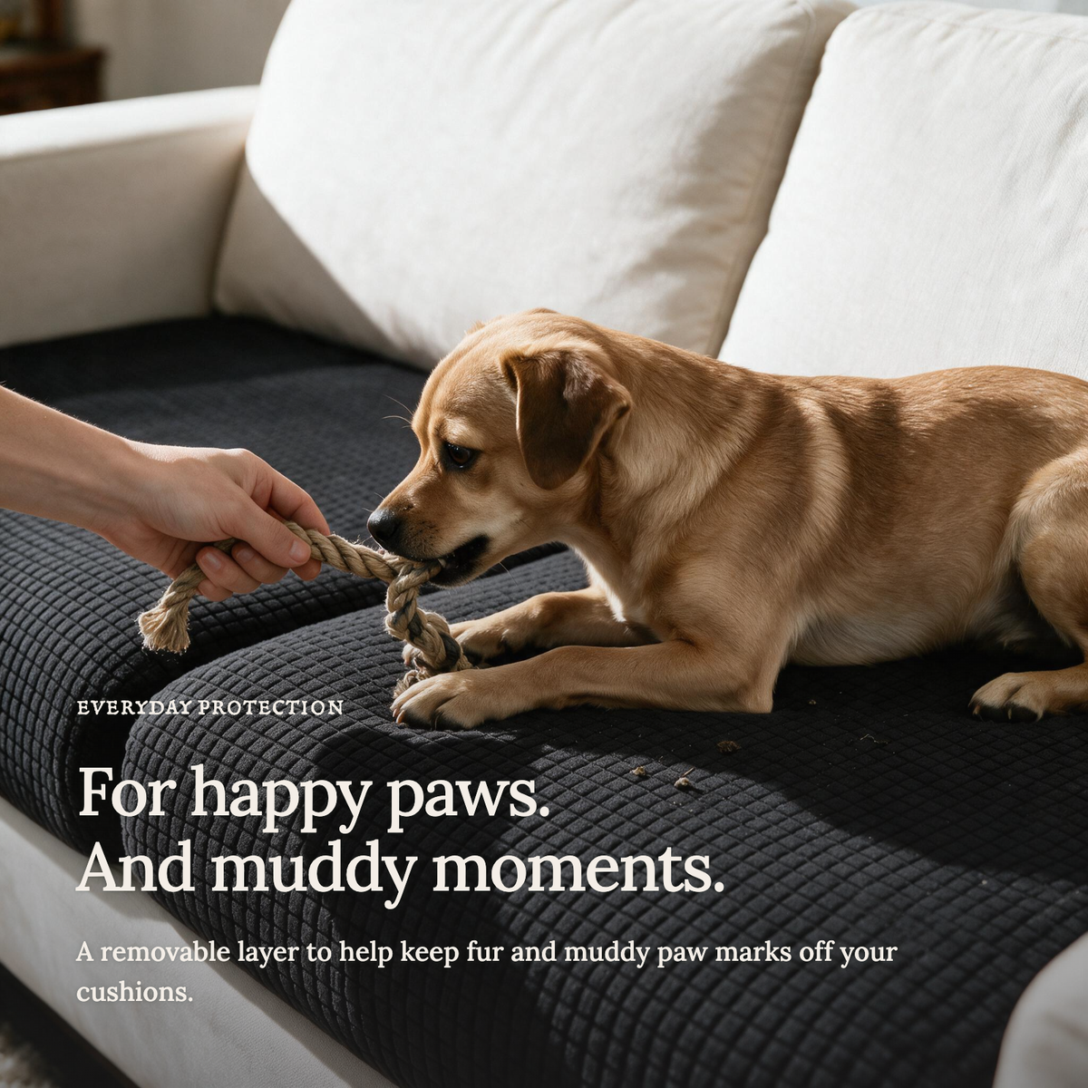 Jacquard Black fitted sofa cushion covers — For happy paws.