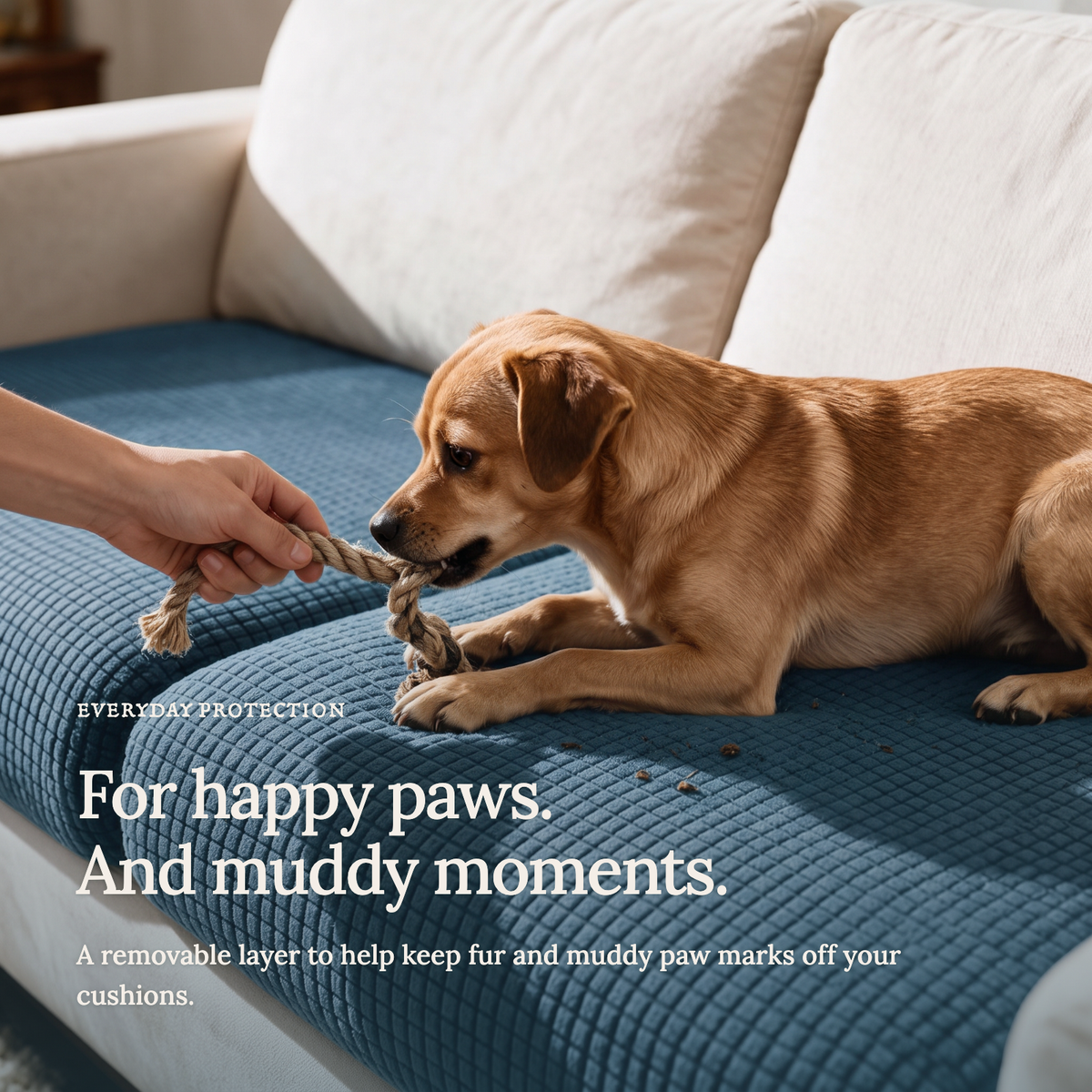 Jacquard Sky Blue fitted sofa cushion covers — For happy paws.