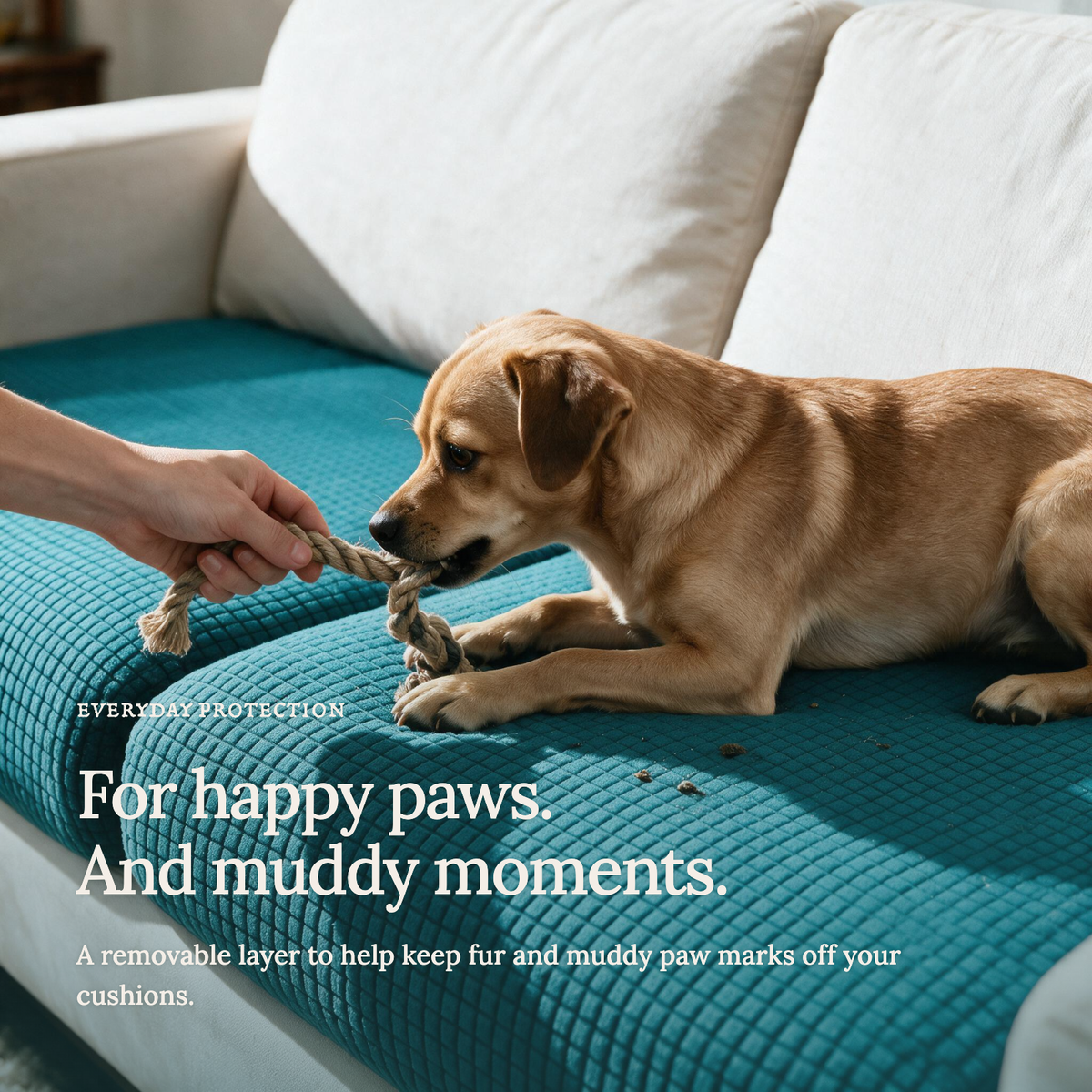 Jacquard Bondi Blue fitted sofa cushion covers — For happy paws.