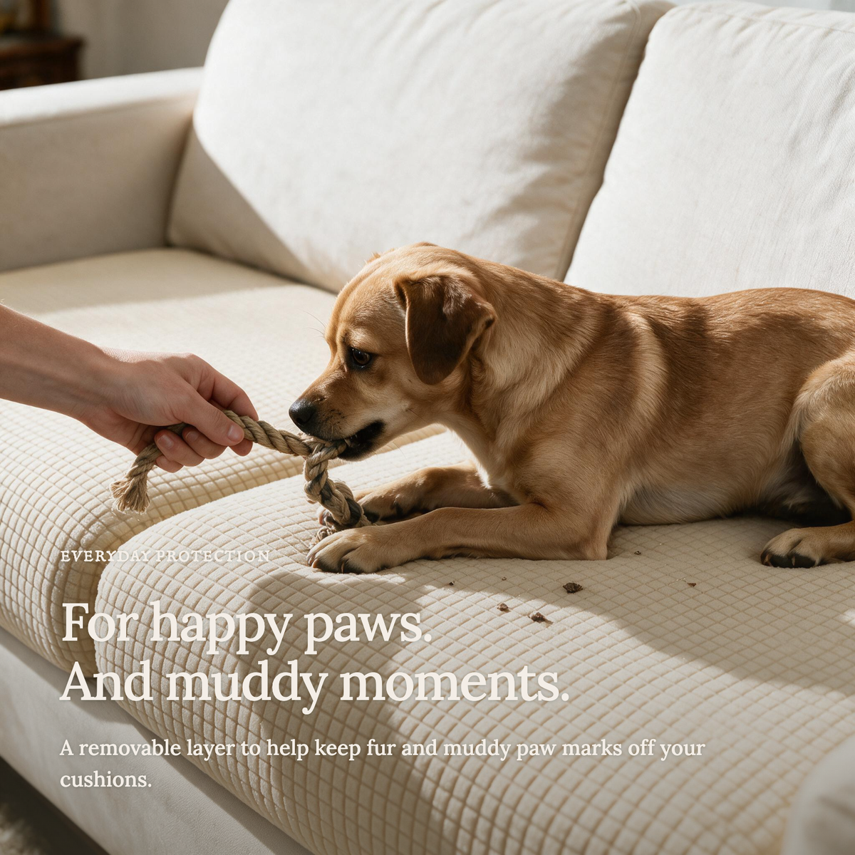 Jacquard Cream fitted sofa cushion covers — For happy paws.