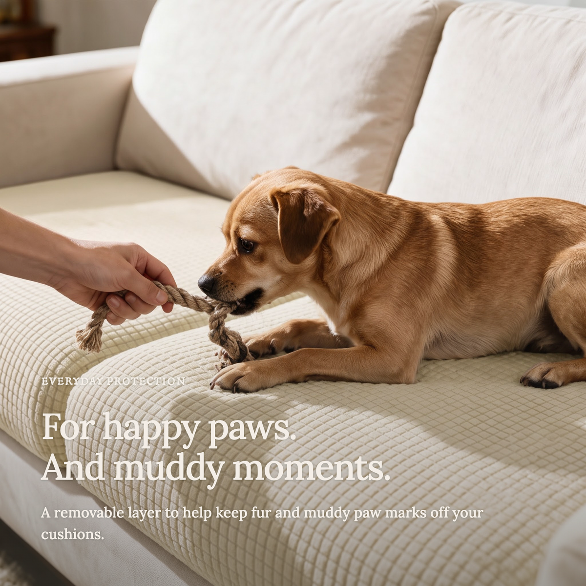 Jacquard Off-White fitted sofa cushion covers — For happy paws.
