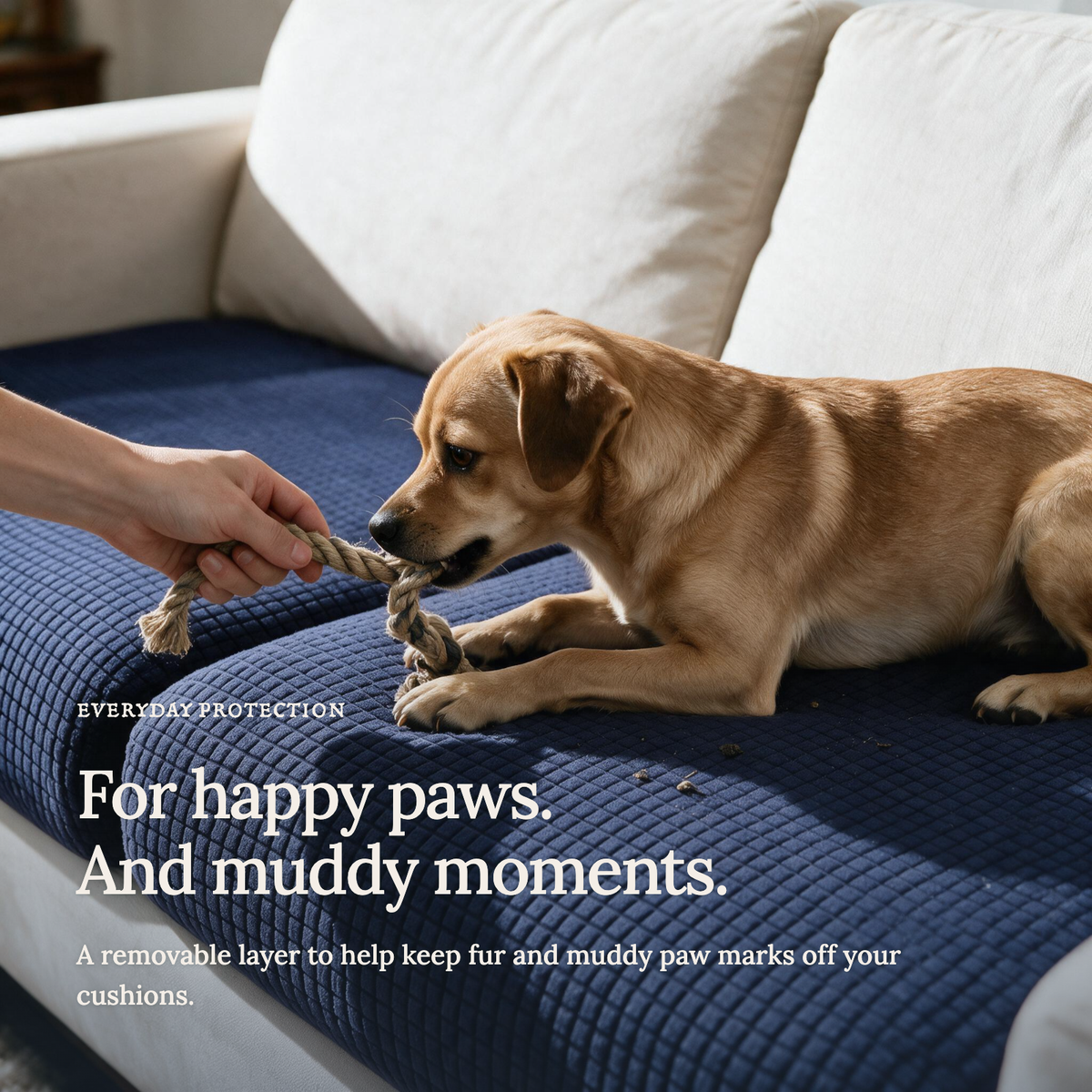 Jacquard Navy Blue fitted sofa cushion covers — For happy paws.